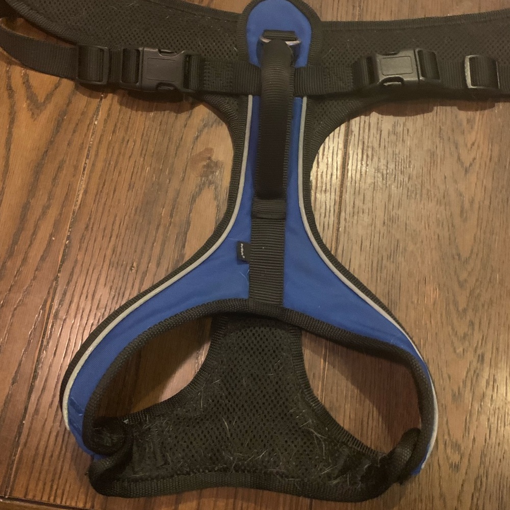 PetSafe Blue and Black Dog Harness